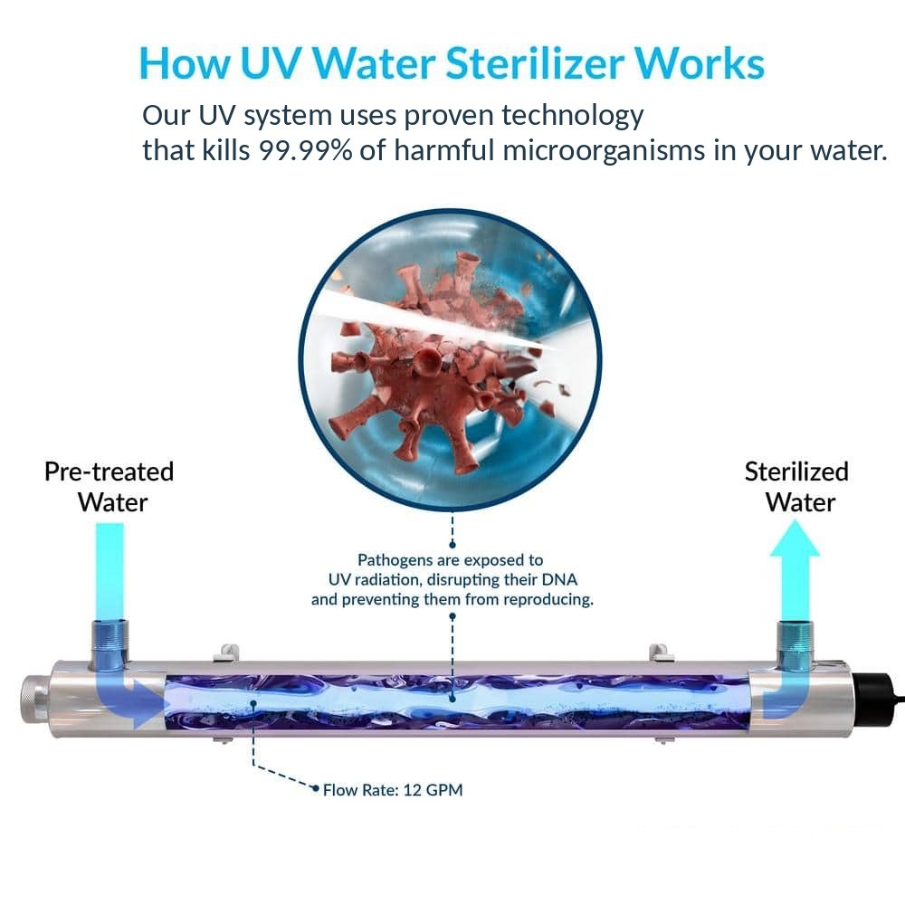 How the UV water sterilizer works: pre-treated water passes the UV light and exits sterilized
